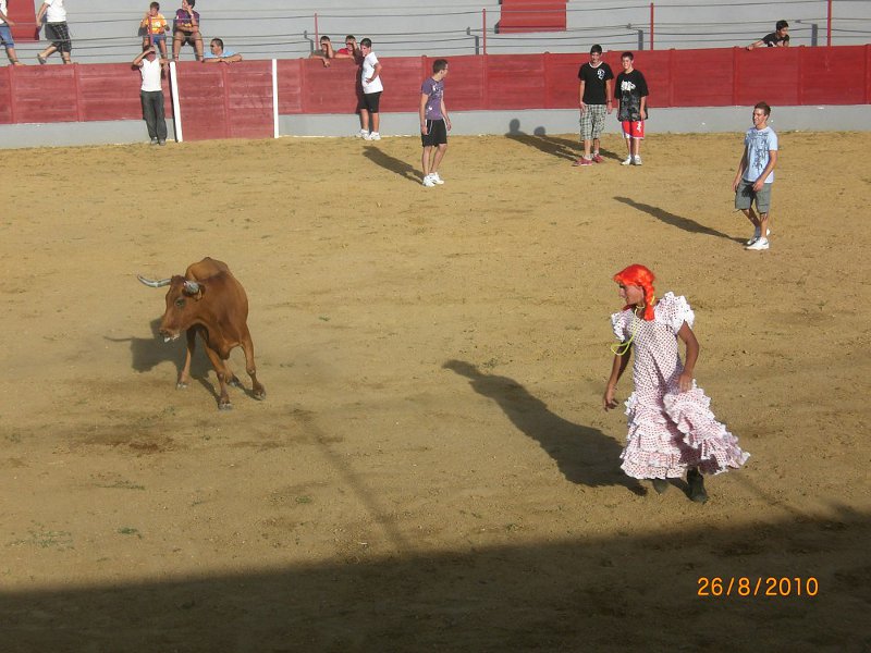 014_feria_1