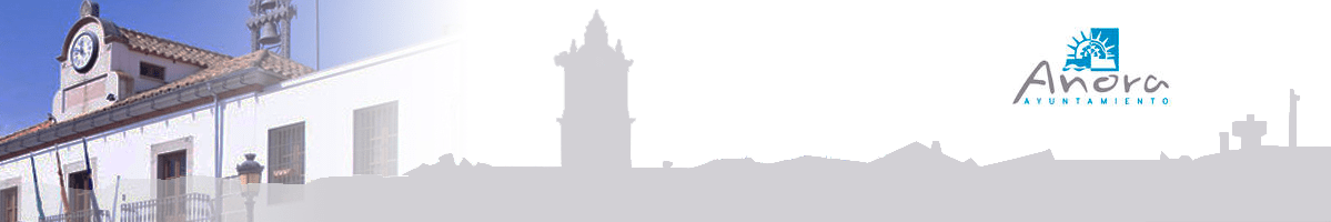 banner_web_anora_2