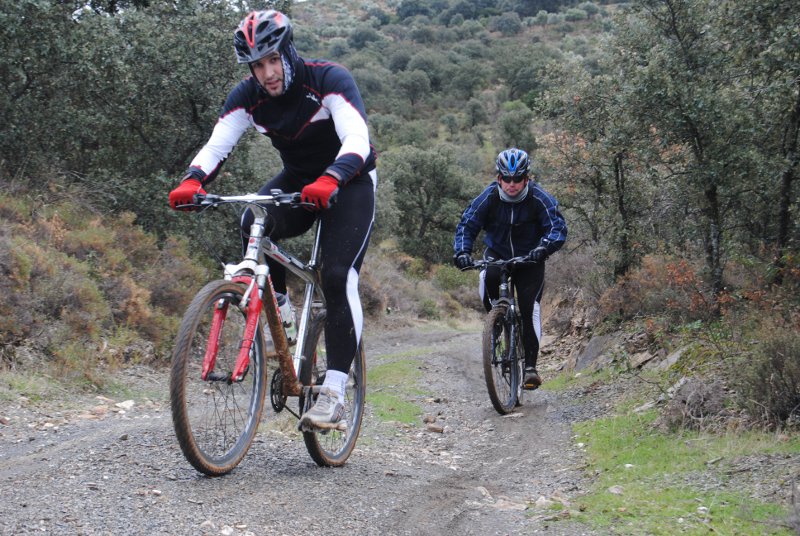 bicis_2