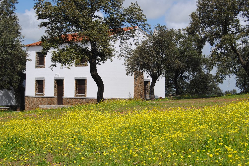 casasrurales1