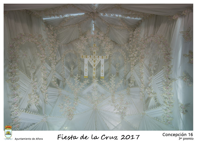 concepcion16
