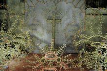 Cruces 2010