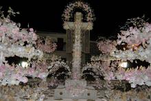 ext-chaparrala