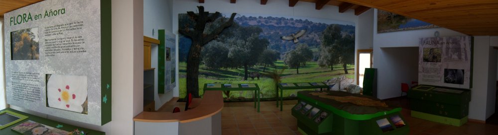 instalaciones_san_martin1