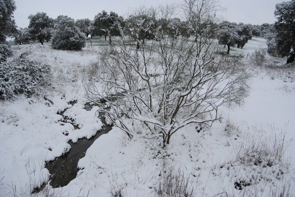 naturaleza02-10