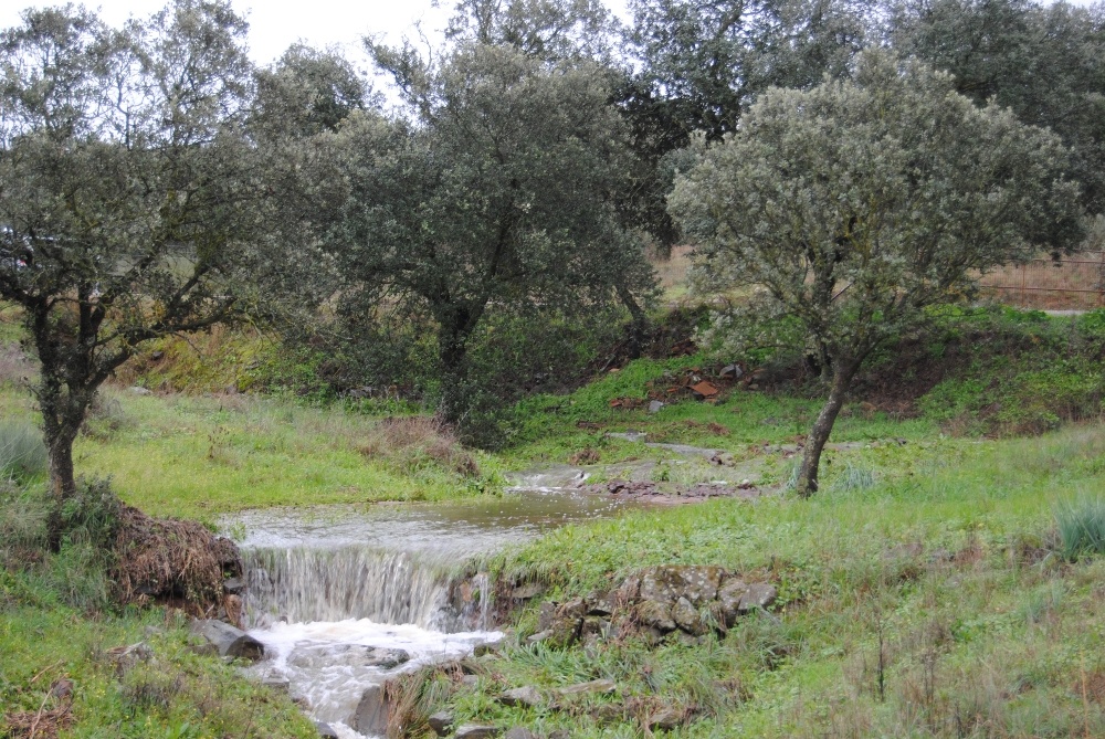 paisaje02