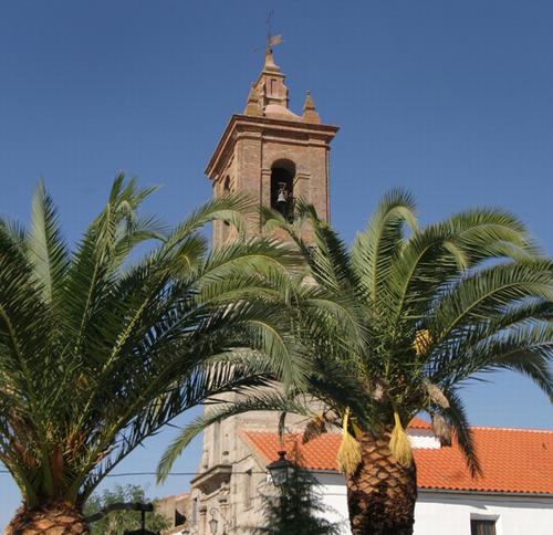 patrimonio15