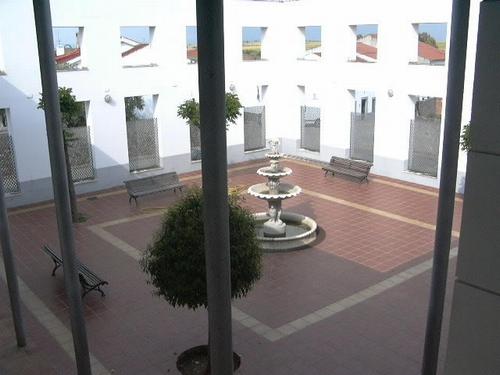 patrimonio31