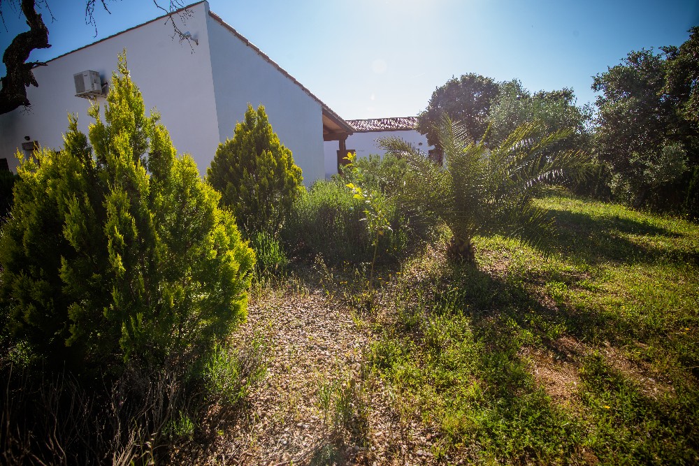 san_martin_rsr-9334