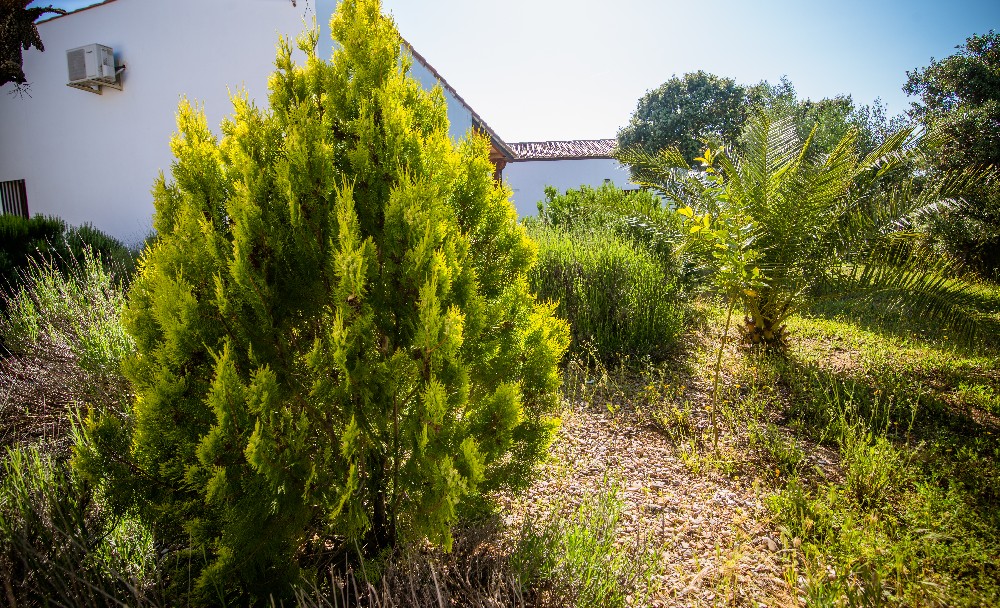 san_martin_rsr-9335