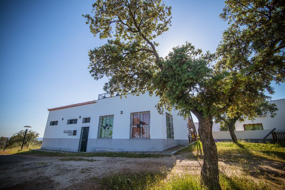 san_martin_rsr-9345