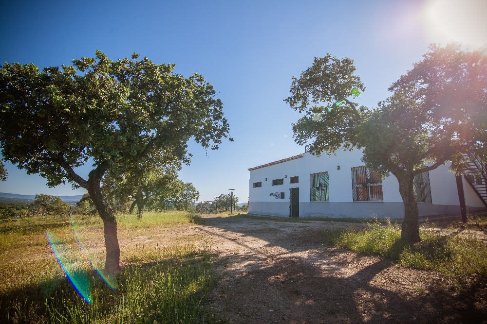 san_martin_rsr-9346