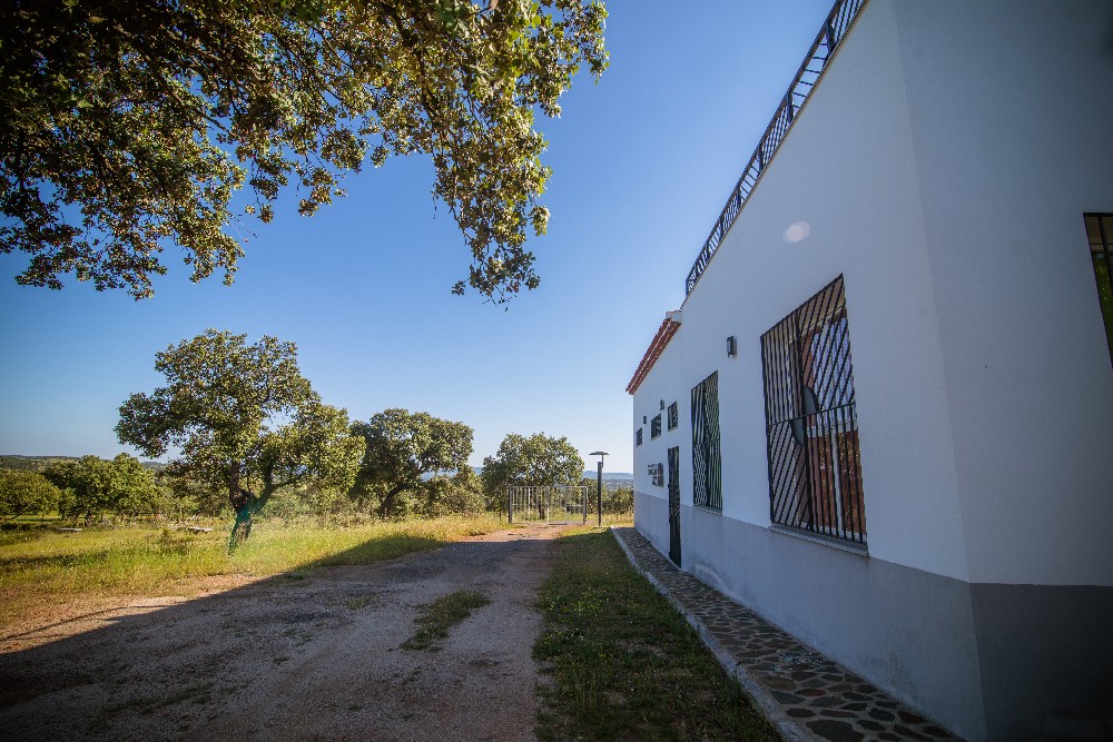 san_martin_rsr-9347