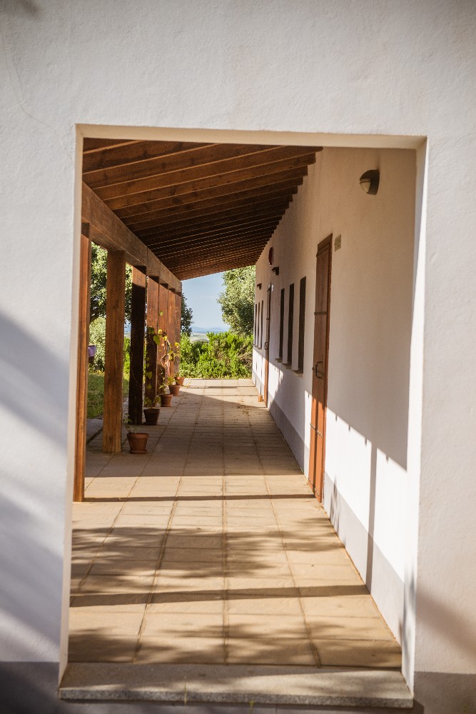 san_martin_rsr-9349_0