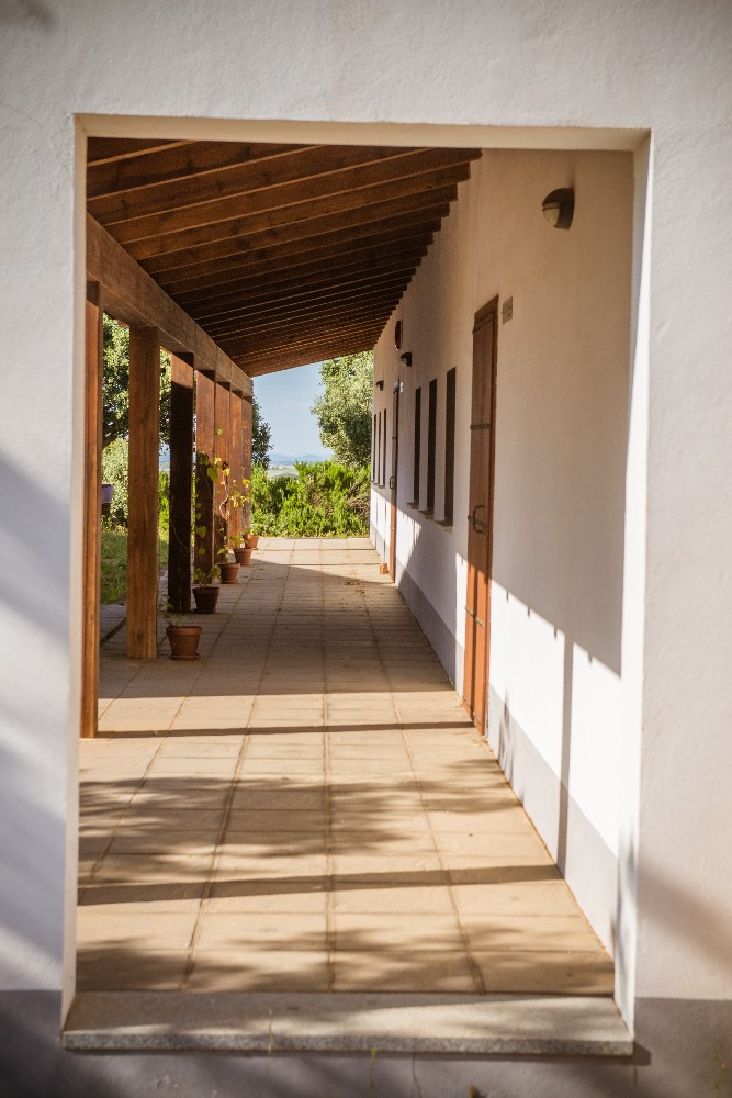 san_martin_rsr-9350