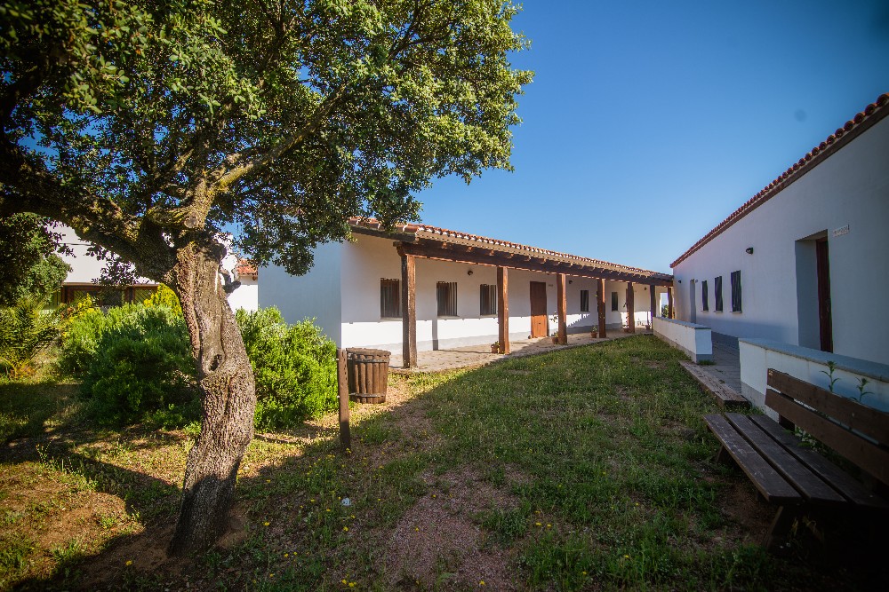san_martin_rsr-9357