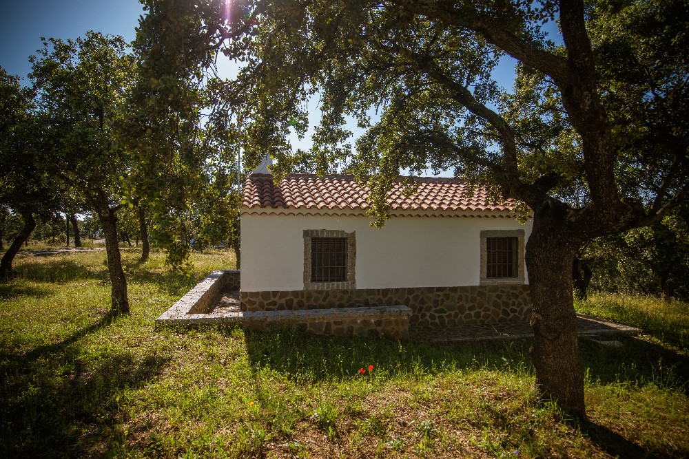 san_martin_rsr-9359