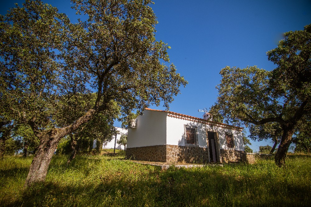 san_martin_rsr-9363