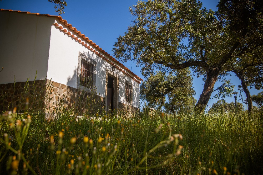 san_martin_rsr-9364