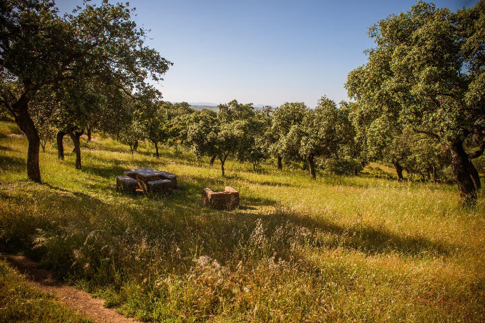 san_martin_rsr-9377