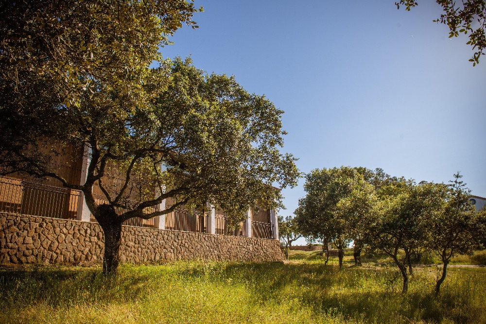 san_martin_rsr-9379