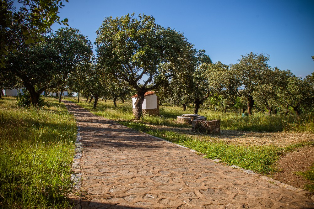 san_martin_rsr-9381
