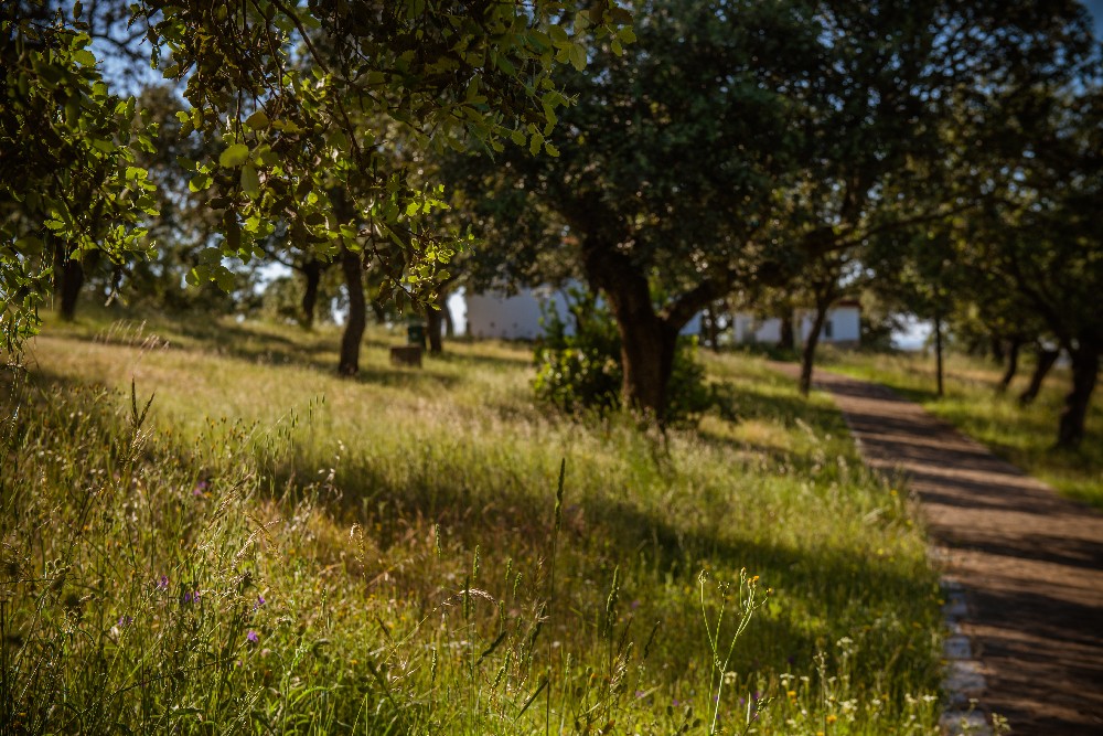 san_martin_rsr-9382