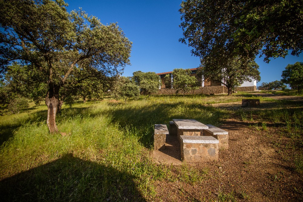 san_martin_rsr-9386