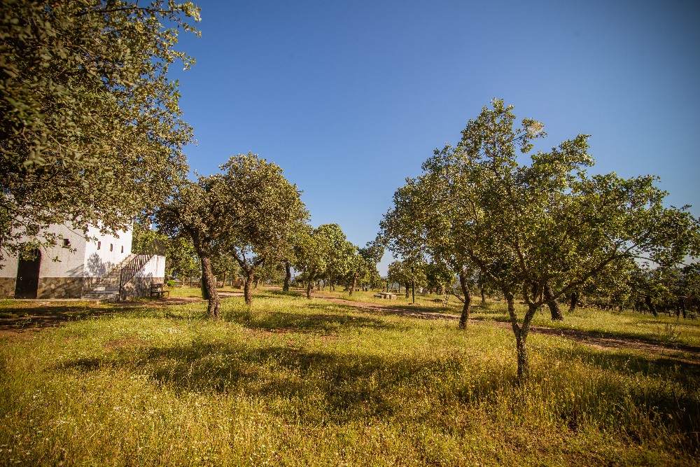 san_martin_rsr-9398