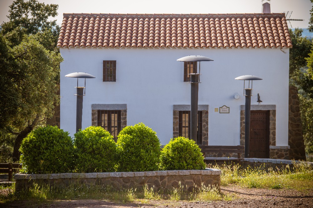 san_martin_rsr-9411