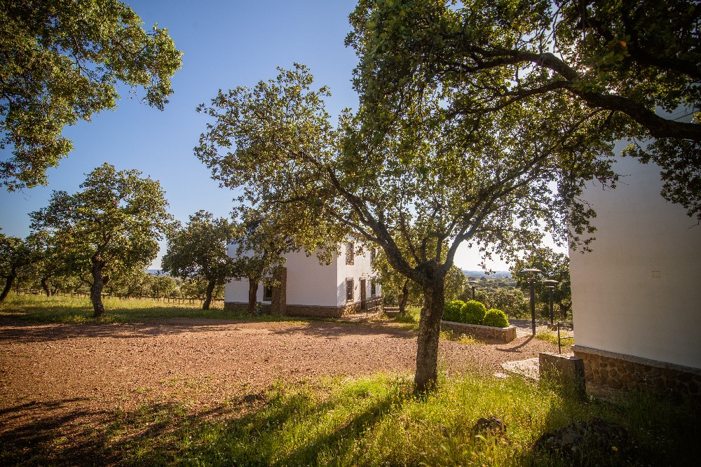 san_martin_rsr-9413