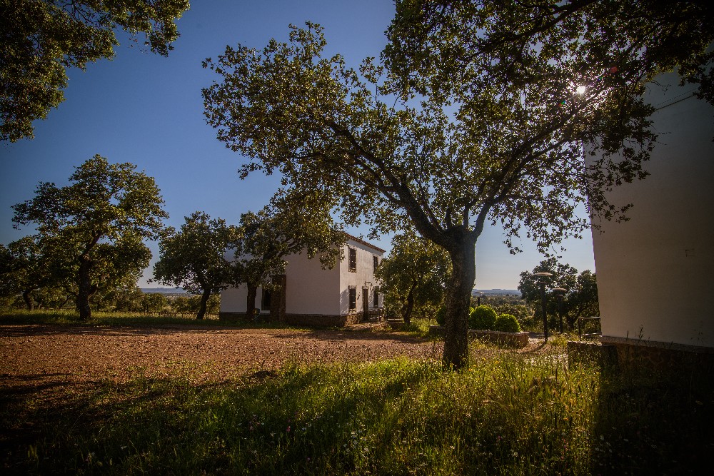 san_martin_rsr-9414