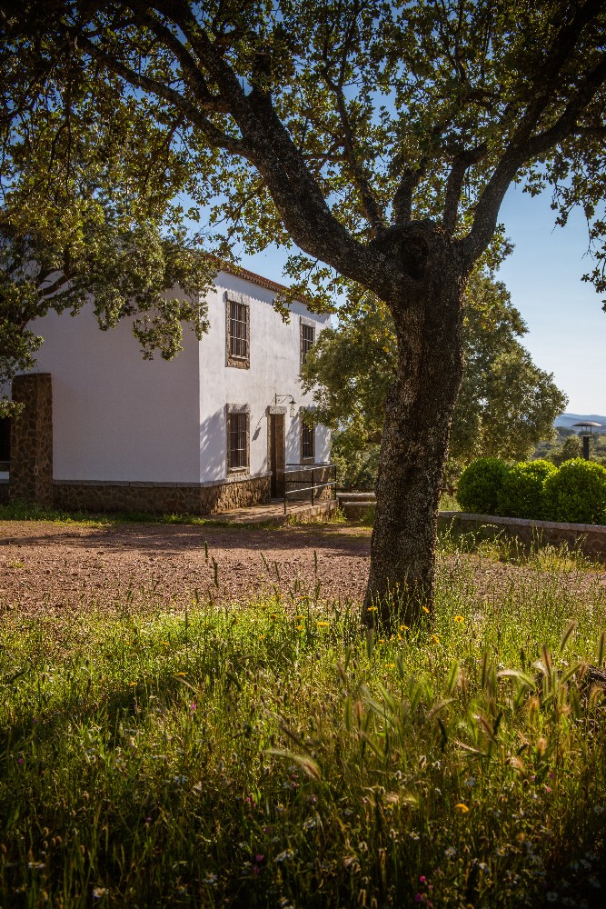 san_martin_rsr-9417