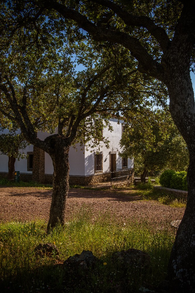 san_martin_rsr-9420