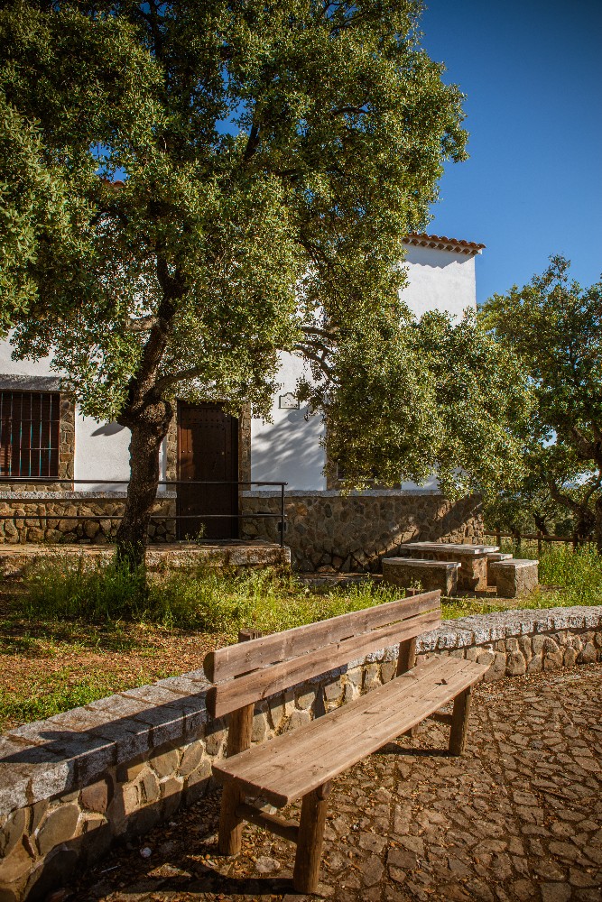 san_martin_rsr-9422
