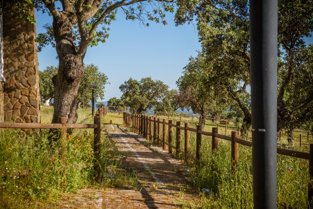 san_martin_rsr-9424