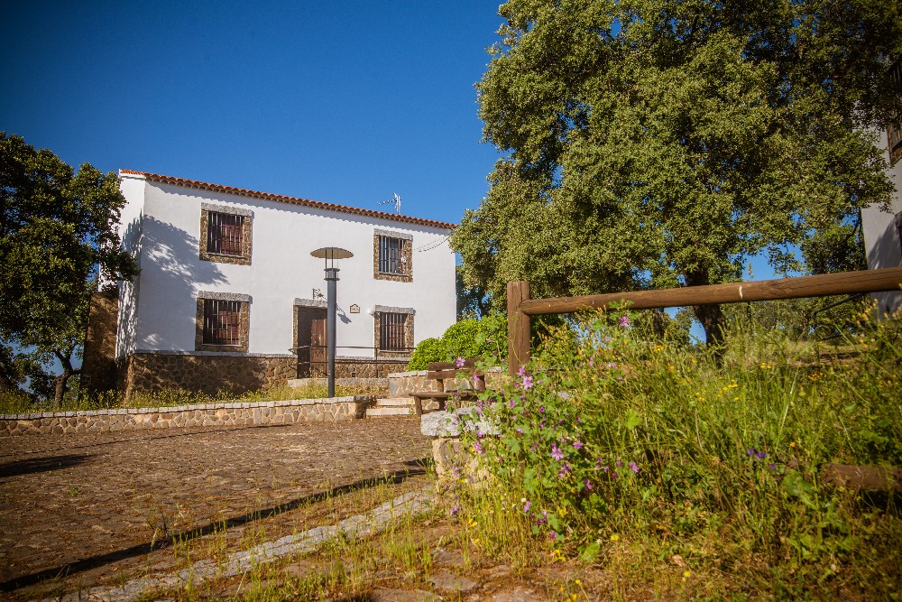 san_martin_rsr-9427