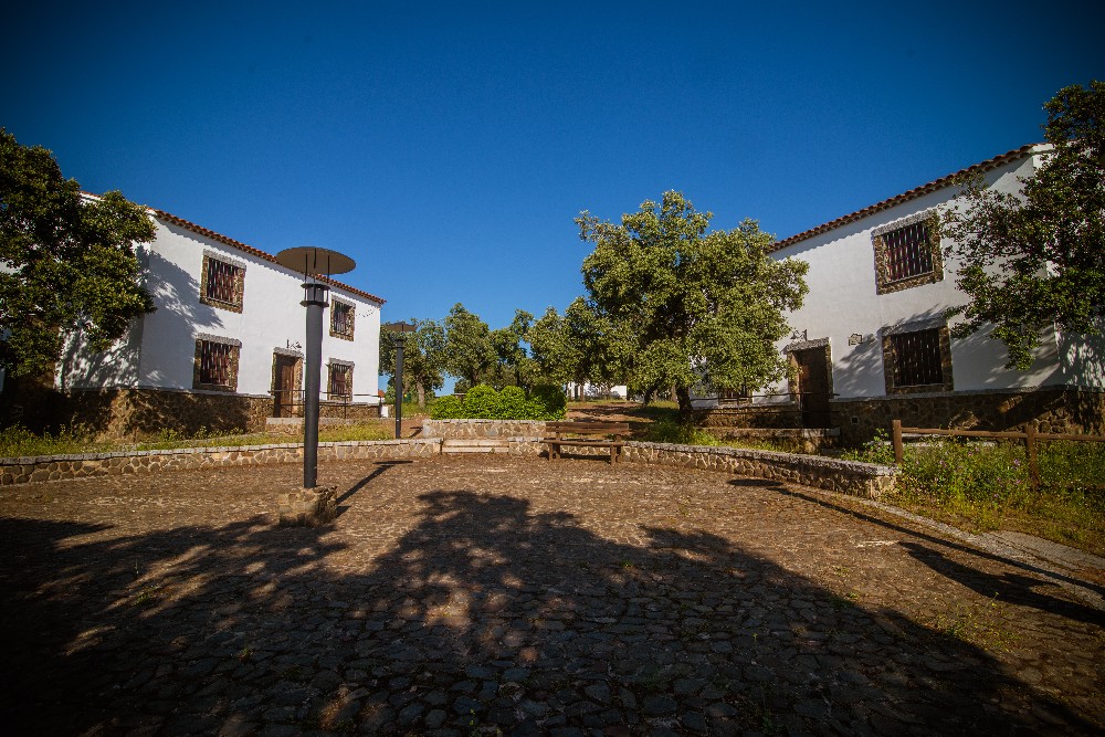 san_martin_rsr-9430