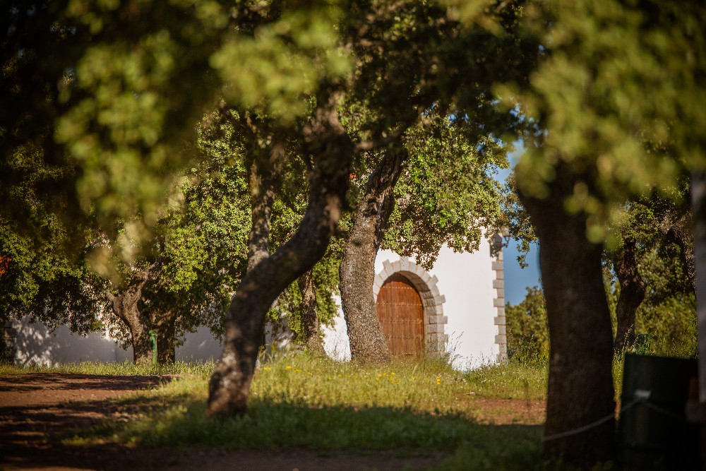 san_martin_rsr-9437