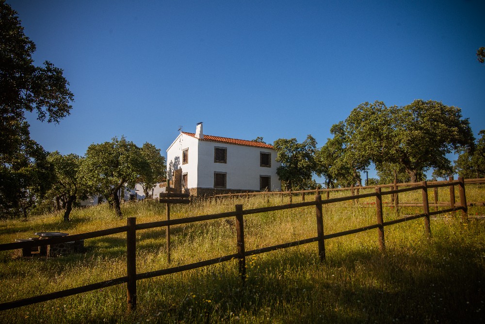 san_martin_rsr-9463_0