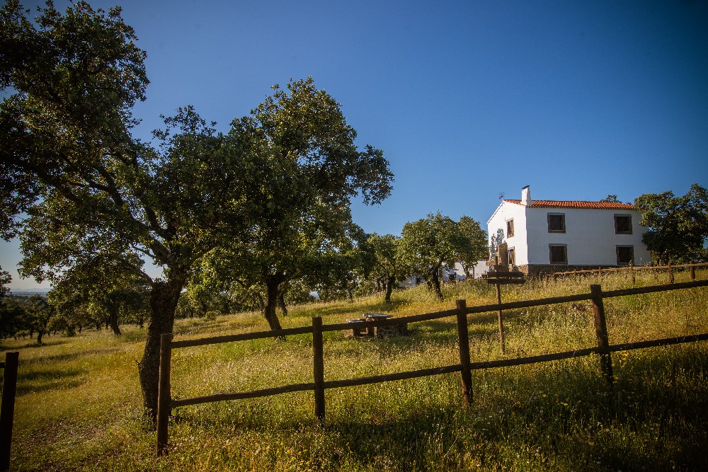 san_martin_rsr-9464_0