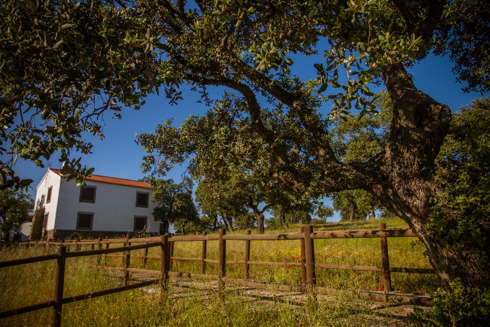 san_martin_rsr-9465_4