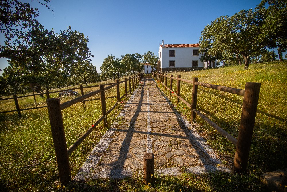 san_martin_rsr-9466_4